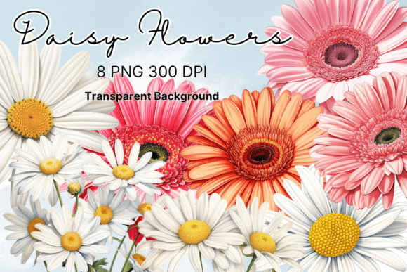 Daisy Flowers Watercolor Clipart for Crafting & Handmade Business Use