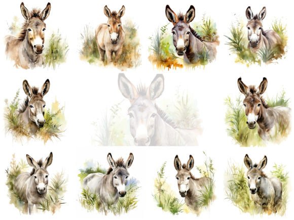 Donkey Watercolor Clipart Bundle for Editorial & Web Design