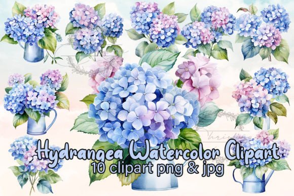Hydrangea Watercolor Clipart: A Designer’s Review for Real Client Projects