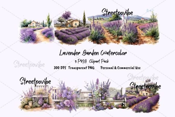 Lavender Flower Watercolor Clipart PNGs for Branding & Marketing Illustrations