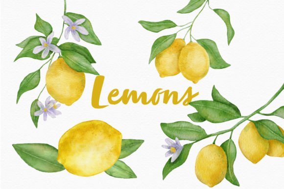 Lemon Watercolor Clipart Fruit Leaves Bring Artistic Flair to Blog Illustrations
