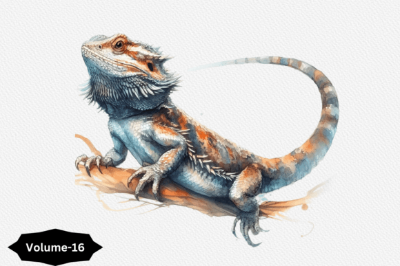 Watercolor Bearded Dragon Illustrations for Bloggers & Publishers