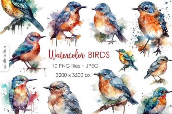 Watercolor Birds PNG Clipart: A Fresh Illustration for Blog & Editorial Design