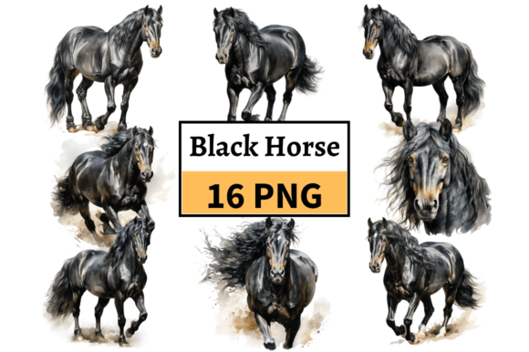 Watercolor Black Horse Illustrations: A Designer’s Review for Real Client Projects