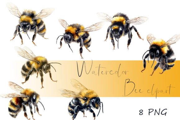 Watercolor Clipart, Bumble Bee Art, Bee