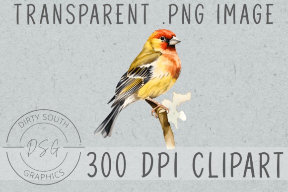 Watercolor Finch Bird Illustrations for Branding and Creative Design Projects