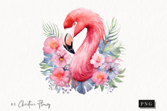 Watercolor Flamingo Clipart Watercolor
