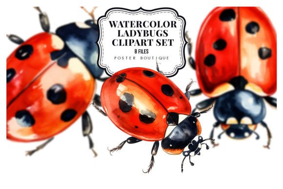 Watercolor Ladybugs Illustrations Pack for Branding & Marketing