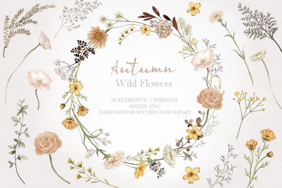 Watercolor Wildflower Autumn Clipart: A Designer’s Real-World Review for Branding and Visual Projects